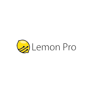 Opieka informatyczna dla firm - Usługi chmurowe - LEMON PRO